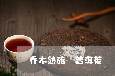 乔木熟砖 普洱茶/2023041228504